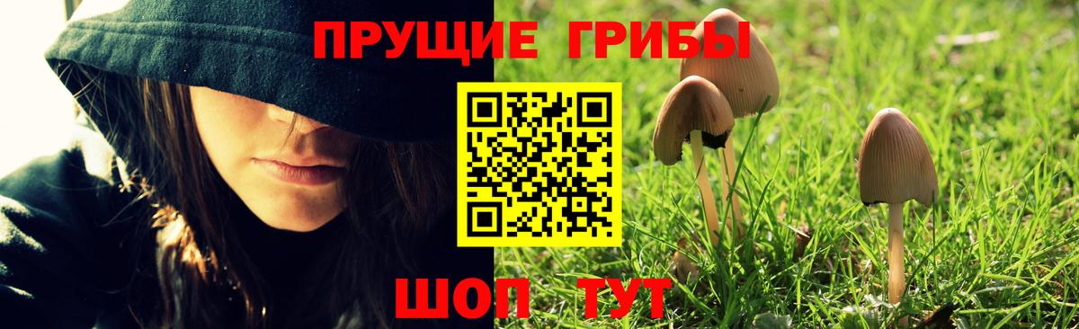 Галлюциногенные грибы GOLDEN TEACHER Майкоп